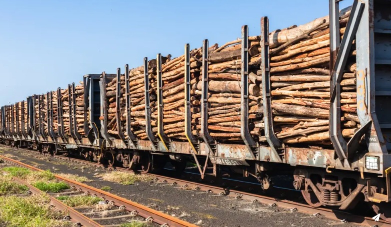 Transap inaugura nueva ruta ferroviaria para el transporte de carga de CMPC entre Los Ríos y Biobío
