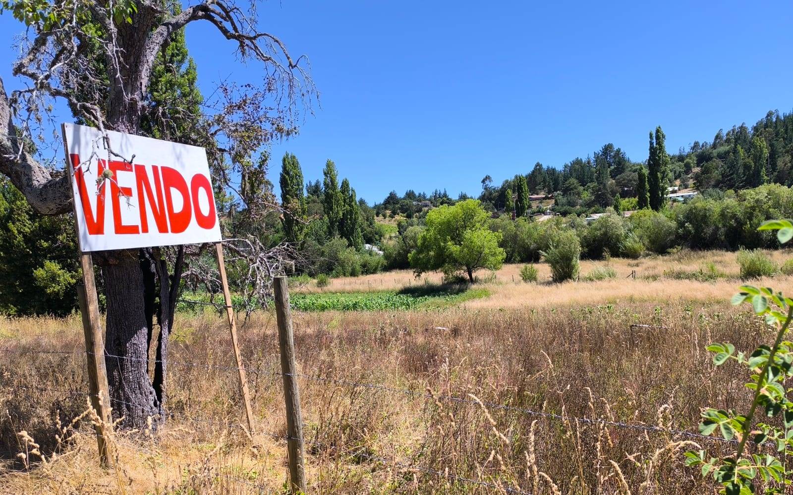 Tras 19 meses estancado: Nuevo Gobierno retomará trámite de ley de parcelaciones rurales