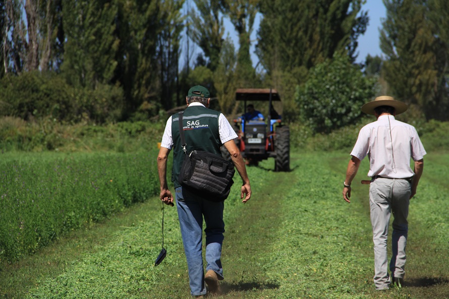 SAG Biobío llama a agricultores/as a postular a concursos del Programa Recuperación de SuelosUn llamado a los agricultores y las agricultoras de la región del Biobío a postular a los concursos del Pro