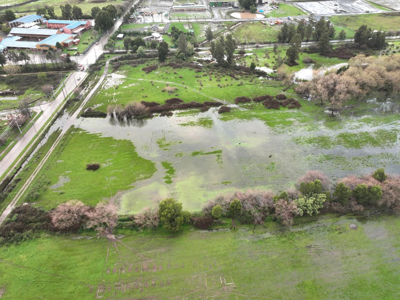 Mientras algunos buscan eliminarlos, en Hualpén aprueban nueva ordenanza para proteger humedales urbanos