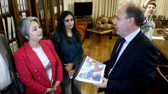 Timonel DC ve "poco creíble" el énfasis de Jara en seguridad y crecimiento
