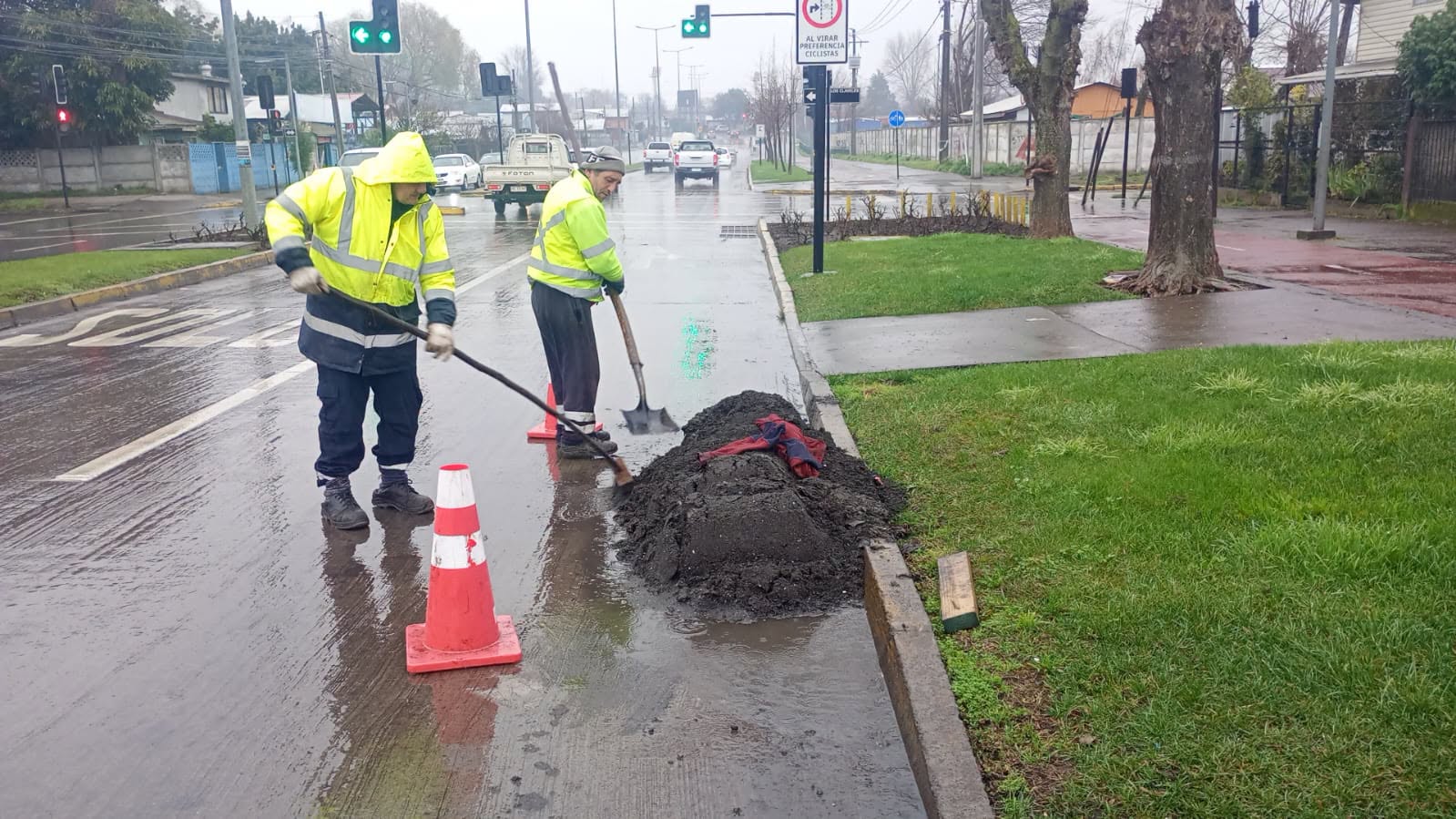 Reporte Municipal: Los Ángeles registra caída de árboles y voladuras de techos tras sistema frontal