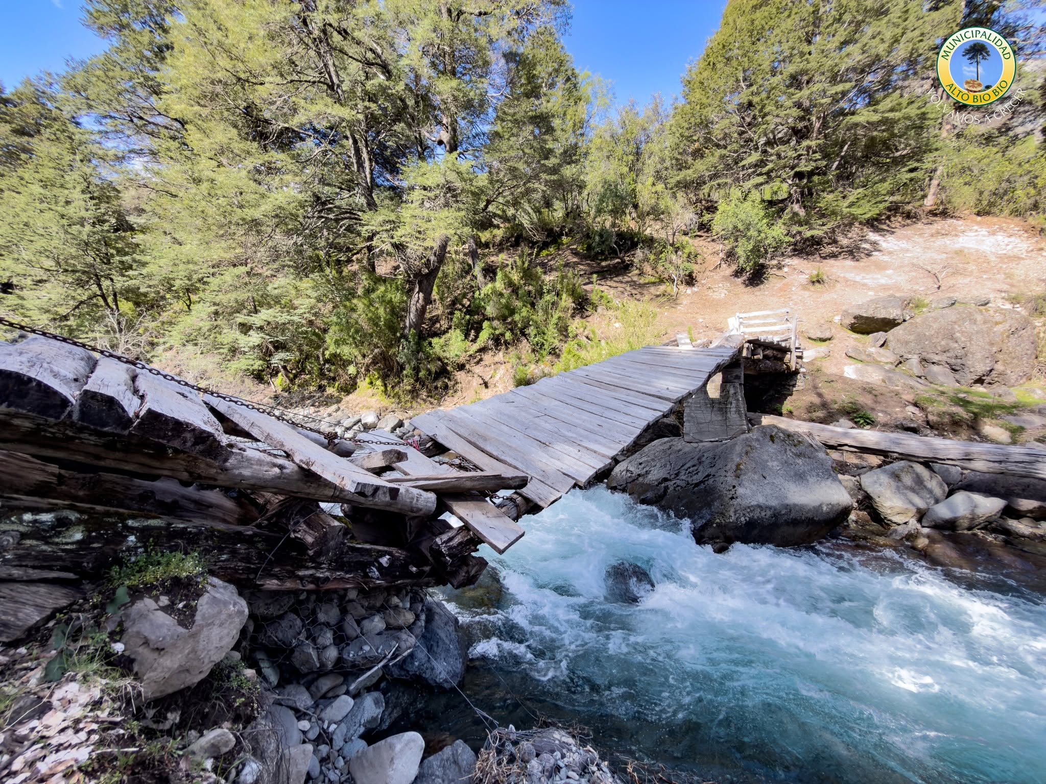 Municipio de Alto Biobío compromete reconstrucción de puentes para familias aisladas en el sector cordillerano de Ceniciento