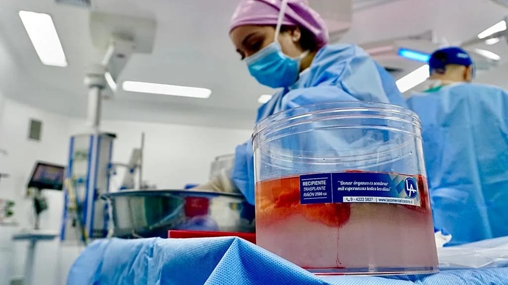 Hospital de Los Ángeles es el primer establecimiento público en realizar procuramiento de piel en abdominoplastía de donante vivo