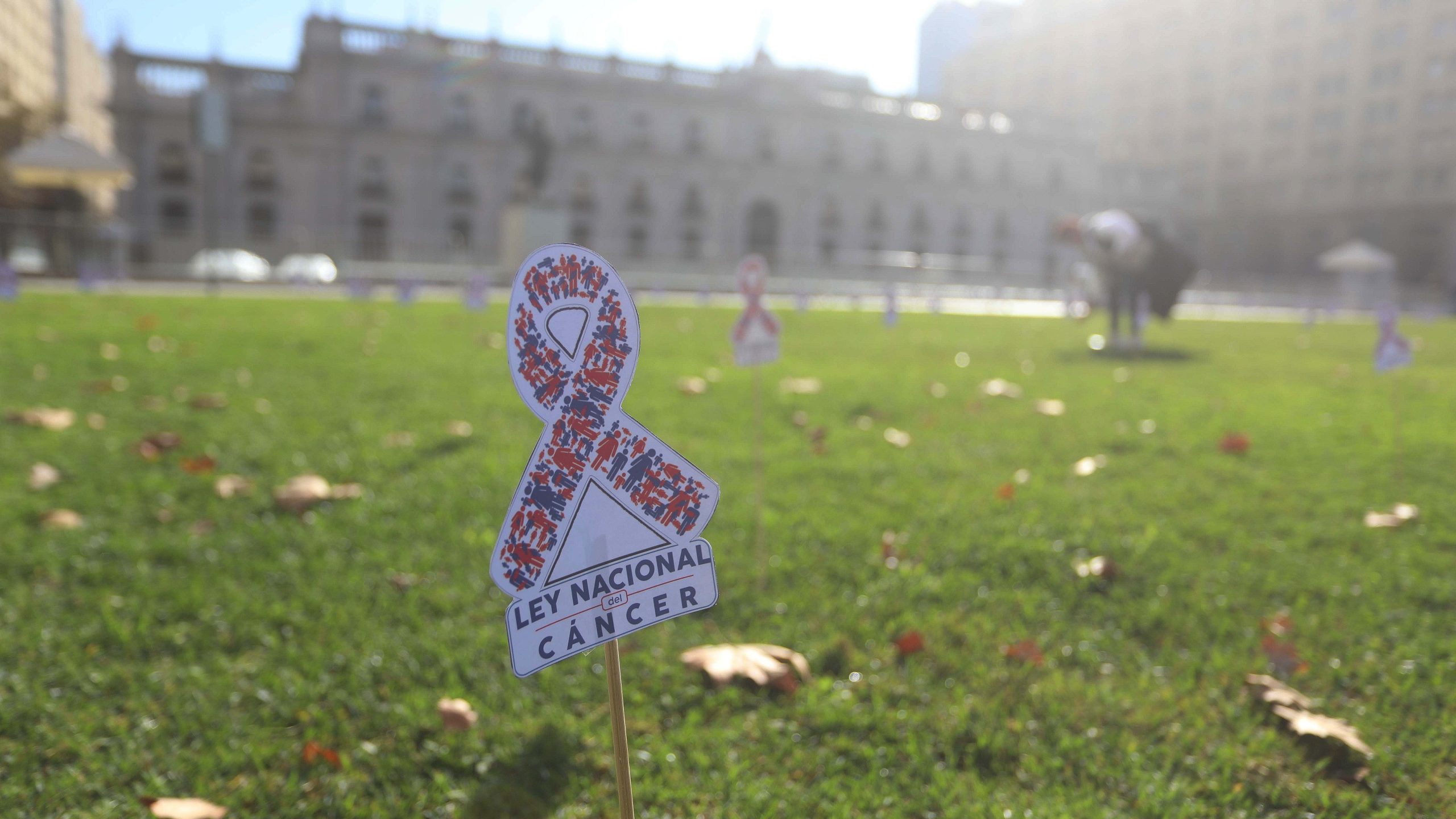 Gobierno activa alerta sanitaria oncológica tras publicación en el Diario Oficial