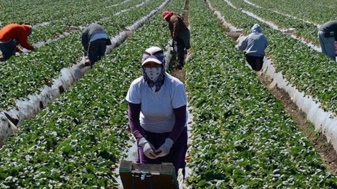 Visas laborales caen 12,4% en el primer trimestre de 2026, pero bolivianos consolidan su liderazgo