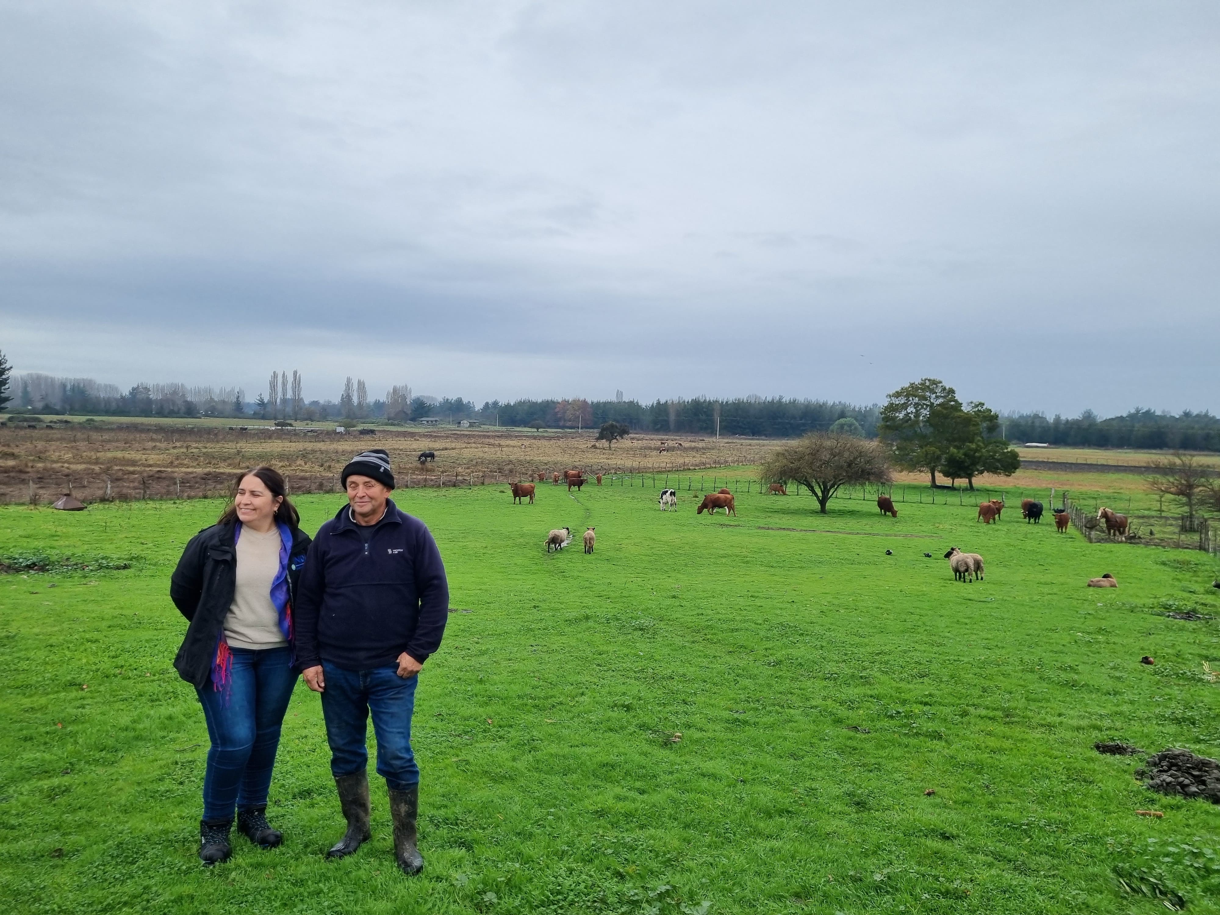 INDAP entregó $186 millones en Capital de Trabajo a agricultores de Yumbel, Cabrero y San Rosendo 