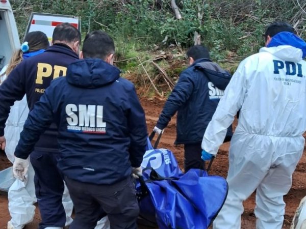 Muere trabajador que realizaba labores de limpieza en Negrete, tras caerle un árbol encima