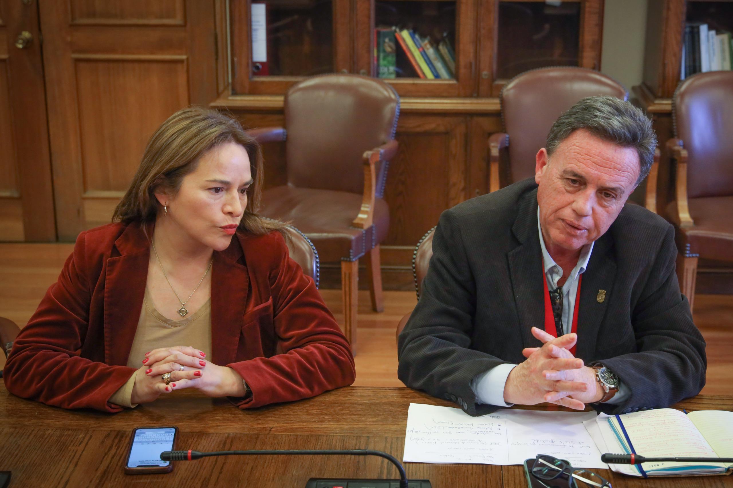 Alcalde de Mulchén destaca positivos avances en reunión con el ministro de Educación por déficit de recursos en educación 