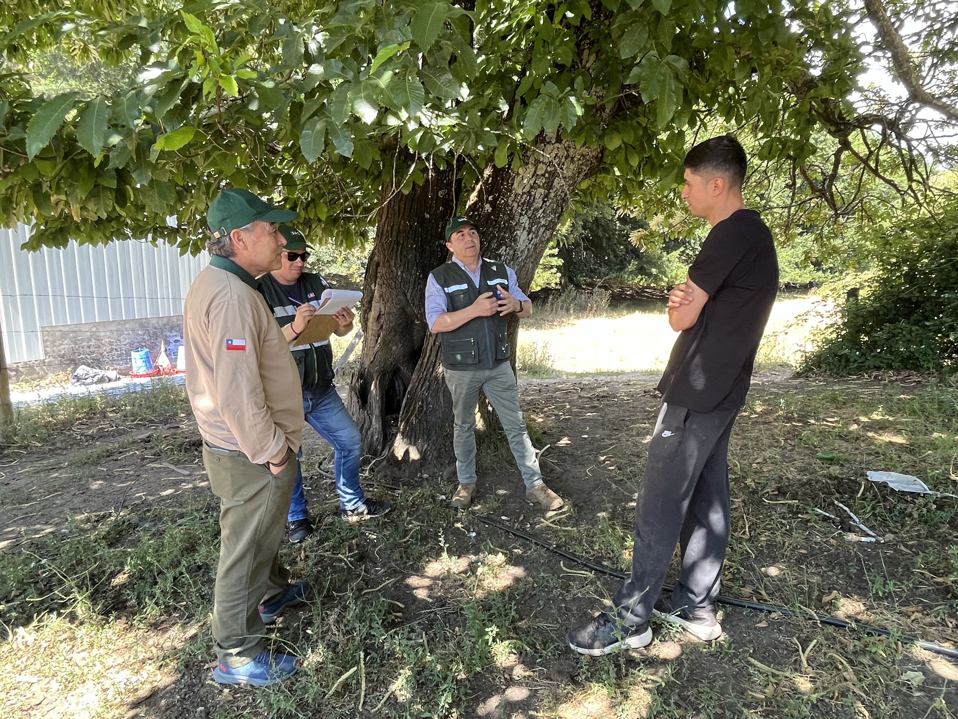 SAG Biobío llama a propietarios/as de aves de corral a reforzar medidas de bioseguridad