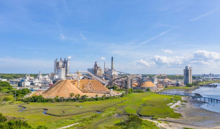 Biobío: Gobierno presentó actualización de normas sobre emisión de olores en plantas de celulosa