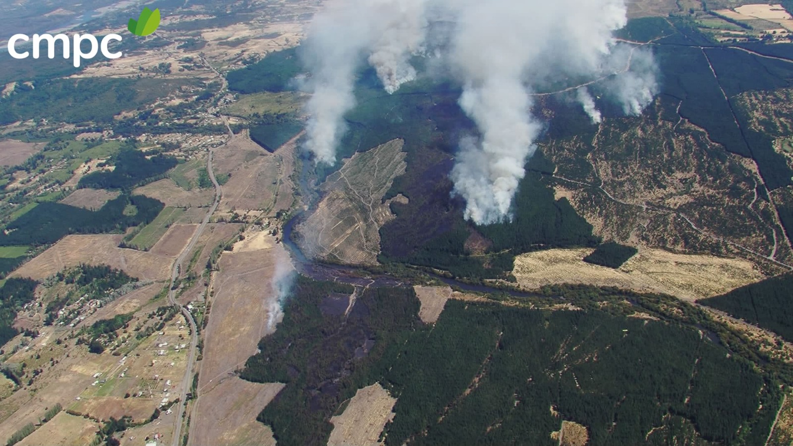 Con más de 100 brigadistas, CMPC continúa con arduo combate en incendio de Collipulli