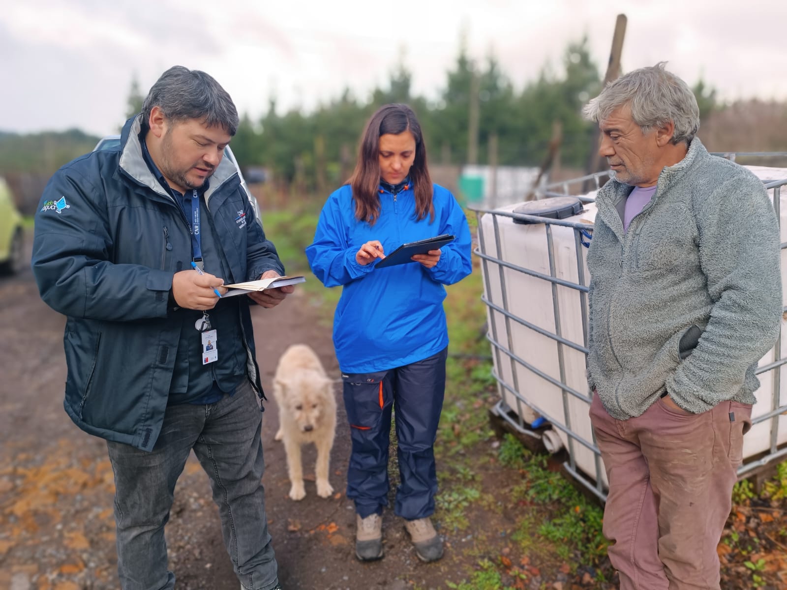 Comenzó aplicación de ficha para catastro de afectación silvoagropecuaria en Biobío
