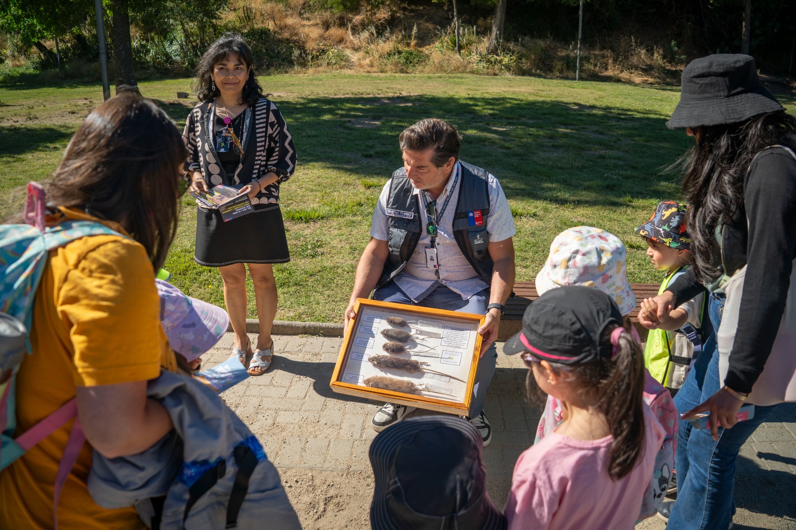 Autoridad Sanitaria refuerza autocuidado frente al Hantavirus en marco de la Campaña de Verano 2026