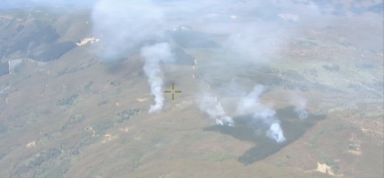 CMPC ha enfrentado 13 incendios esta semana, entre las regiones del Biobío y La Araucanía