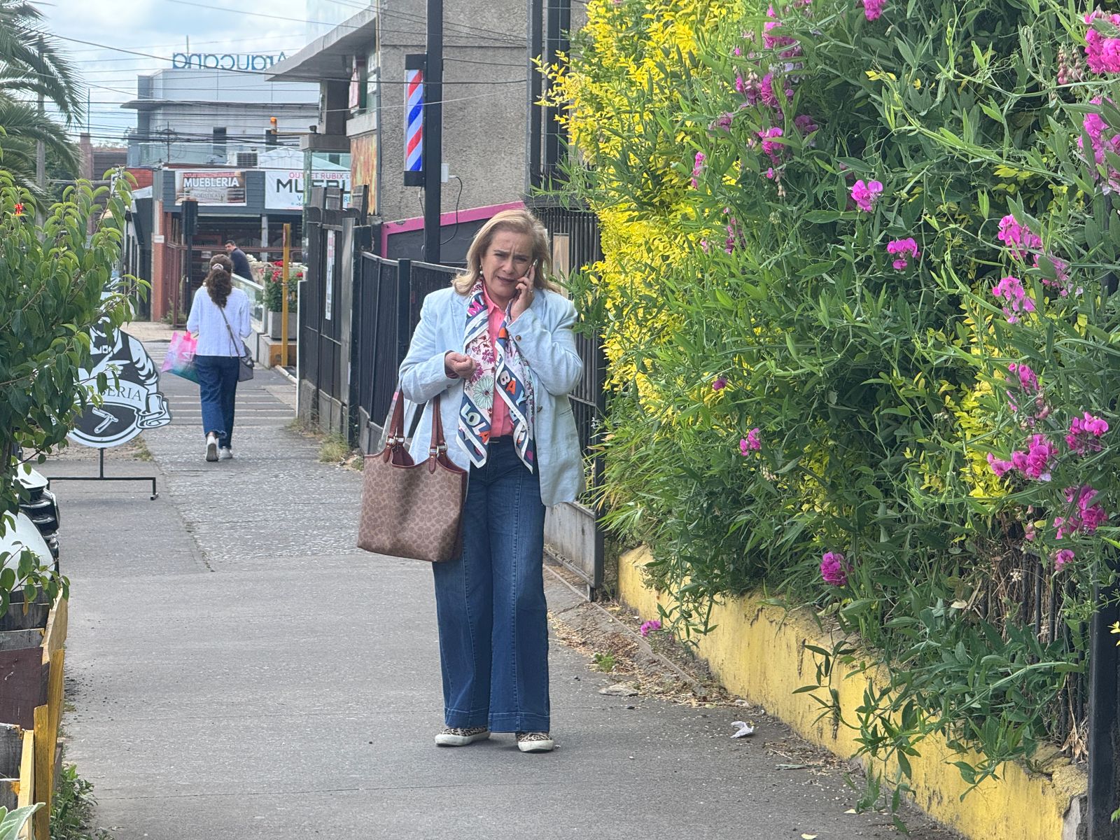 Diputada Flor Weisse solicita política pública de emergencia para enfrentar la deserción escolar