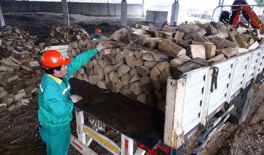 Trabajan en elaboración de reglamento sobre uso y fiscalización de leña seca