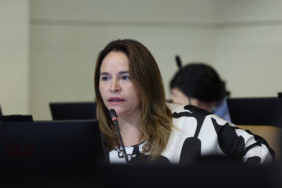 Diputada Joanna Pérez presenta proyecto para restituir Consejo Participativo Comunal de Ferias Libres