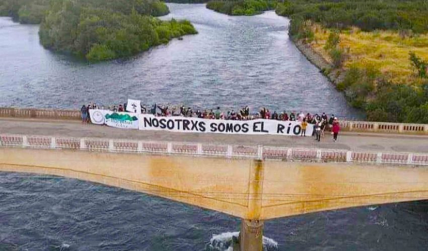 Central Rucalhue: Conaf aprueba planes de manejo y da luz verde a que se continúe construyendo en cuenca del Biobío