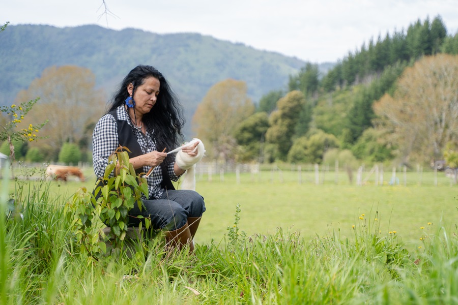 Kuifi Kimün: Rescatando la sabiduría ancestral  de las tejedoras mapuche