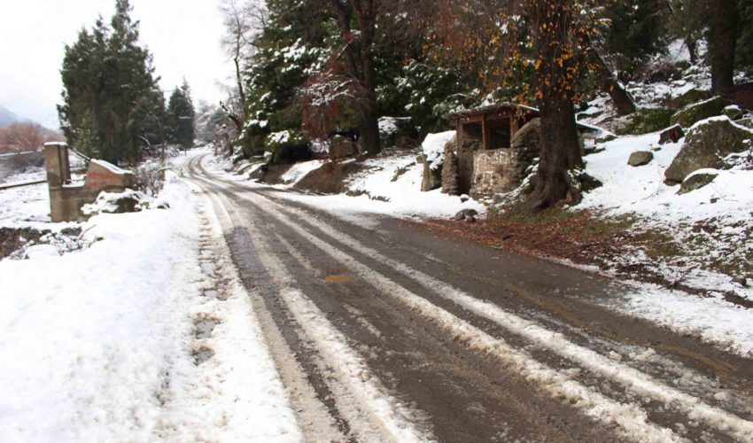 Por $12.890 millones: Licitan etapa de conexión vial entre Chenqueco y Guallalí en Alto Biobío