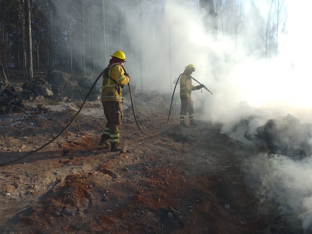 Tres detenidos y sospechas de intencionalidad marcan la emergencia por incendios forestales en Biobío y Ñuble