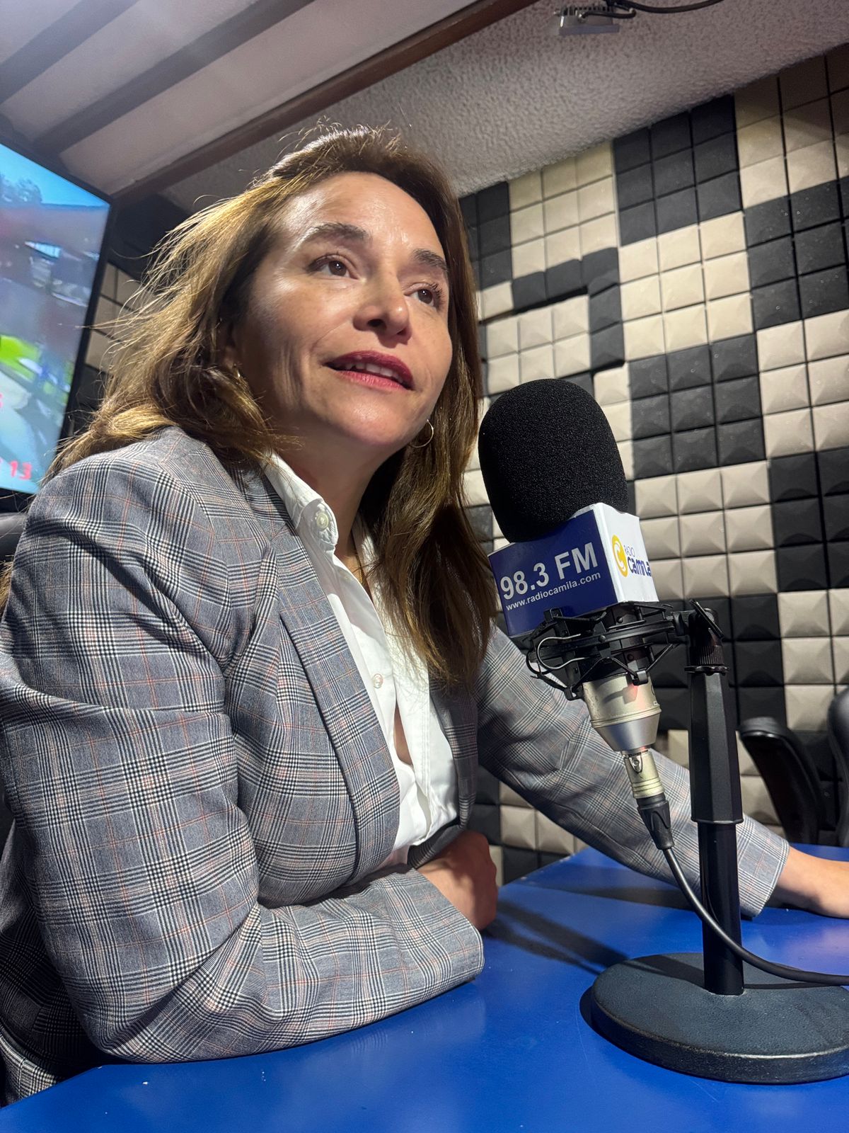 Diputada Joanna Pérez llama al Gobierno a transparentar recursos y acelerar ayuda en regiones afectadas por incendios
