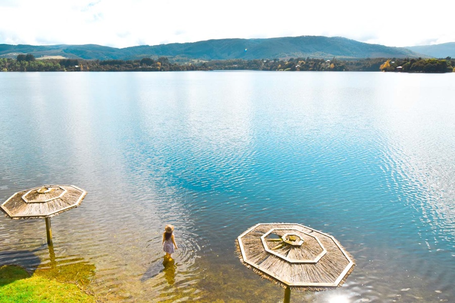 Preparan Norma Secundaria de Calidad Ambiental para la cuenca del lago Lanalhue  