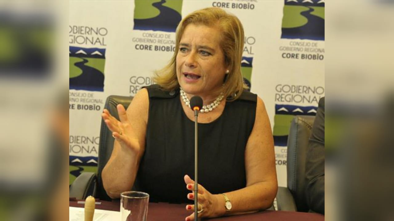 Diputada Weisse anuncia proyecto de ley para combatir la venta de armas en plataformas digitales