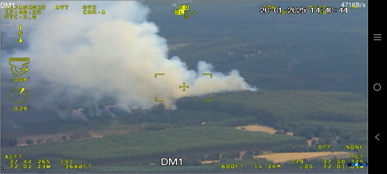 Equipos de CMPC siguen combatiendo incendio en Los Sauces