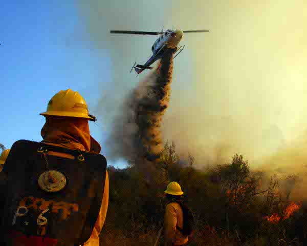 Incendios forestales han quemado 85% menos de superficie que la temporada anterior