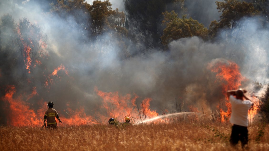 Multigremial: El 57% de los incendios en La Araucanía fue intencional