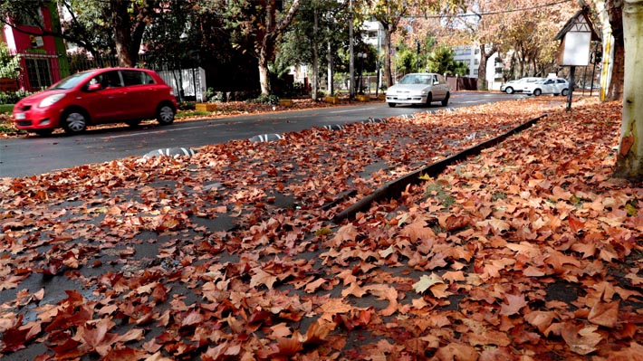Aumento general de las temperaturas en el país: El balance que dejó este verano y las predicciones para el otoño 