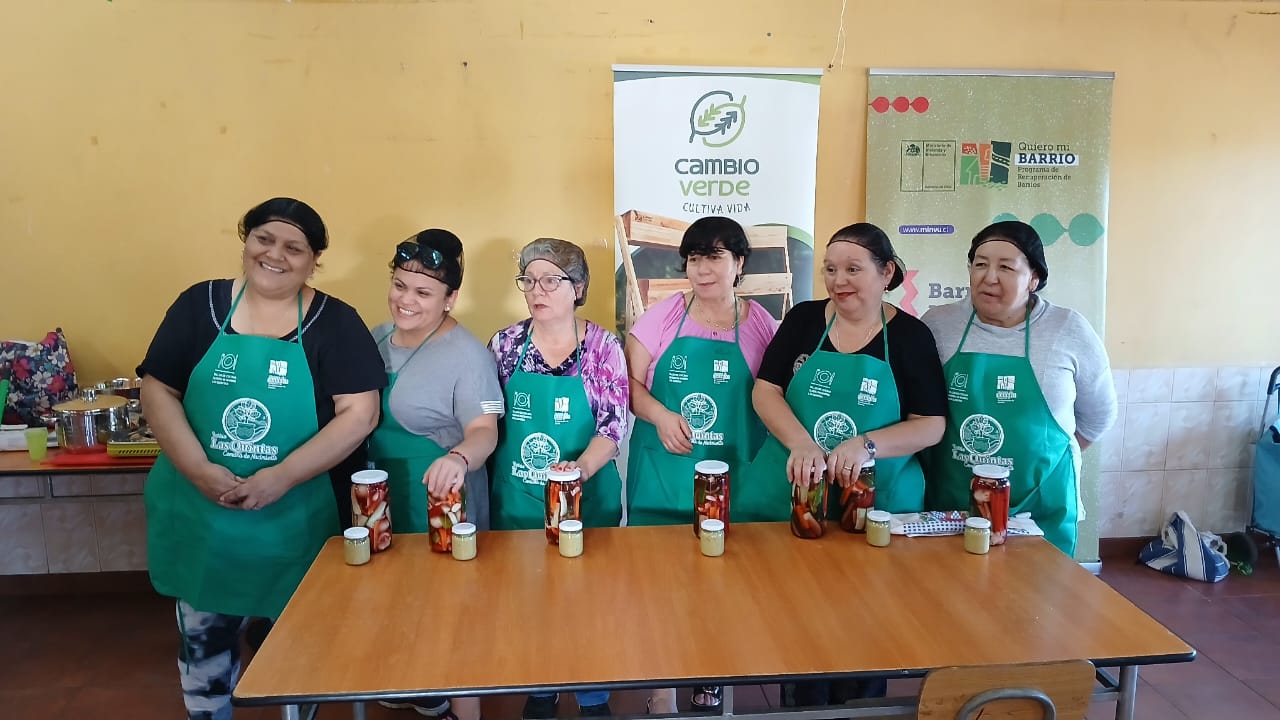Vecinos de Nacimiento rescatan el valor de sus frutas locales en innovador taller gastronómico