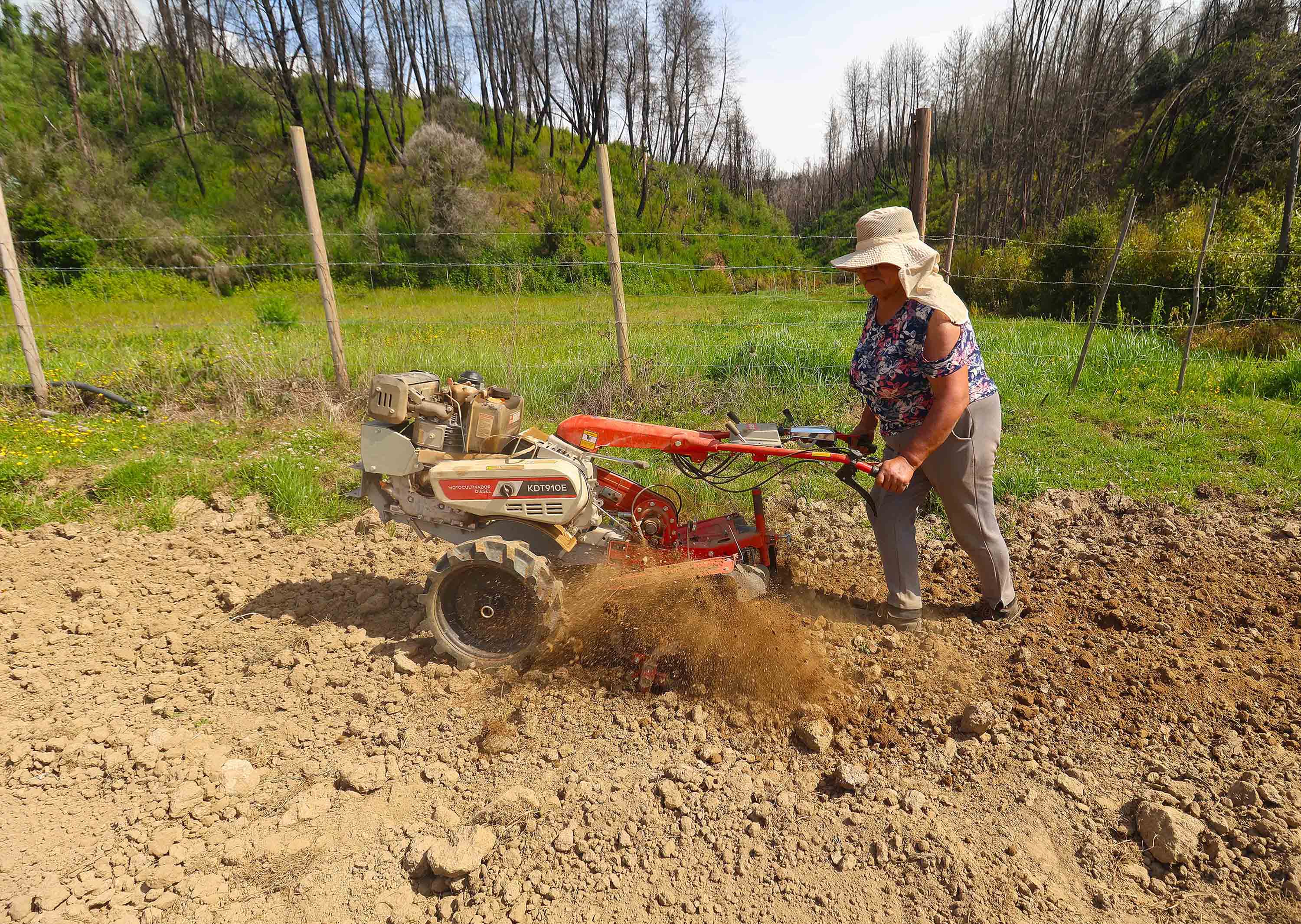 Sector agrícola y forestal pide ajustes al proyecto de ley de incendios