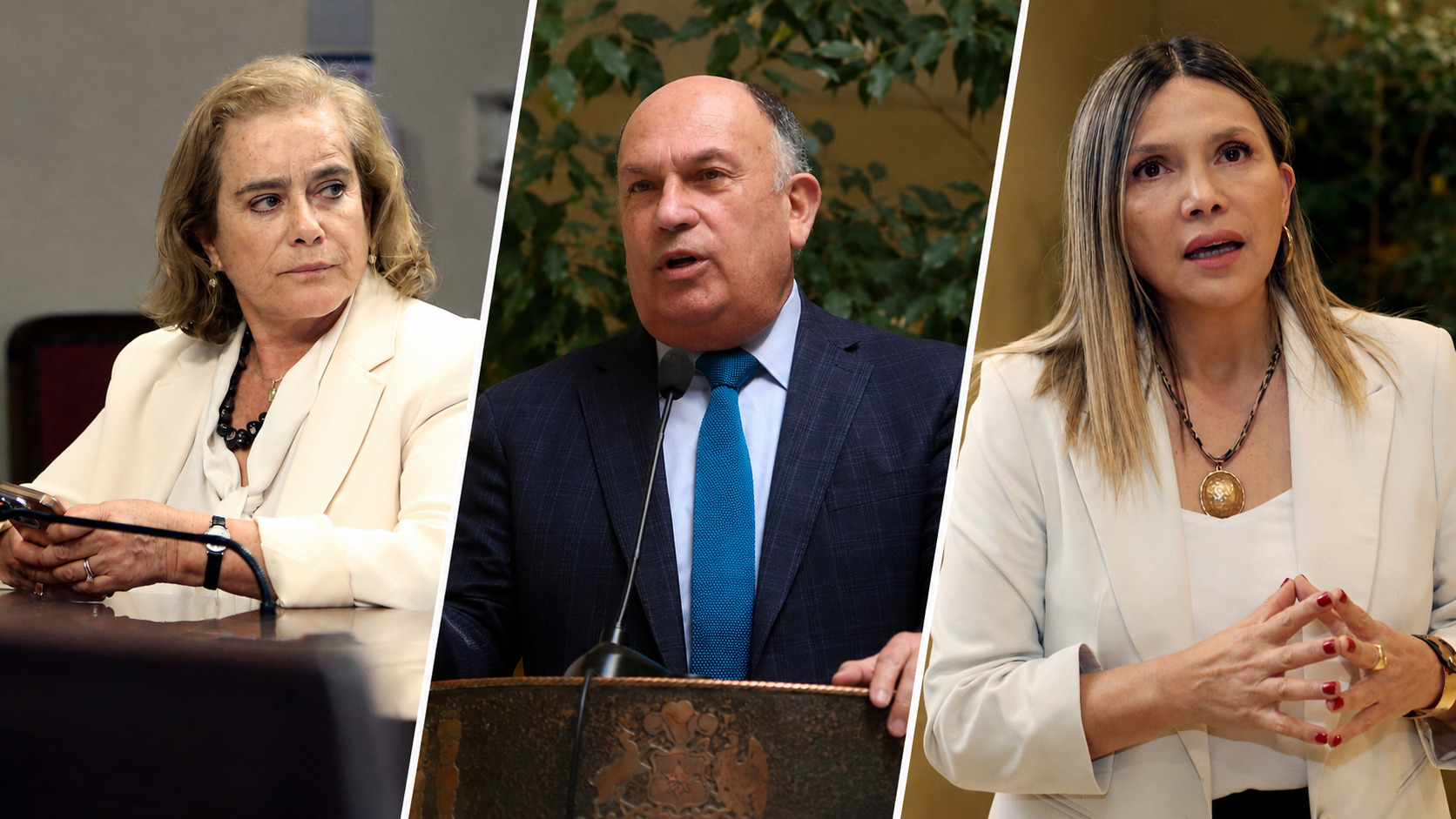Sistema frontal: Diputados UDI piden postergar pago de contribuciones de bienes raíces y predios agrícolas en comunas afectadas del Biobío