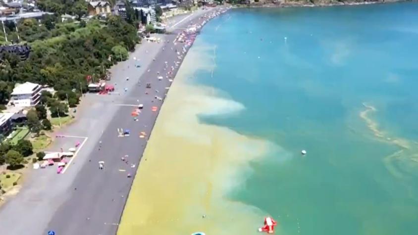 Ambicioso plan busca descontaminar el Lago Villarrica en 15 años con una inversión de US$ 56 millones