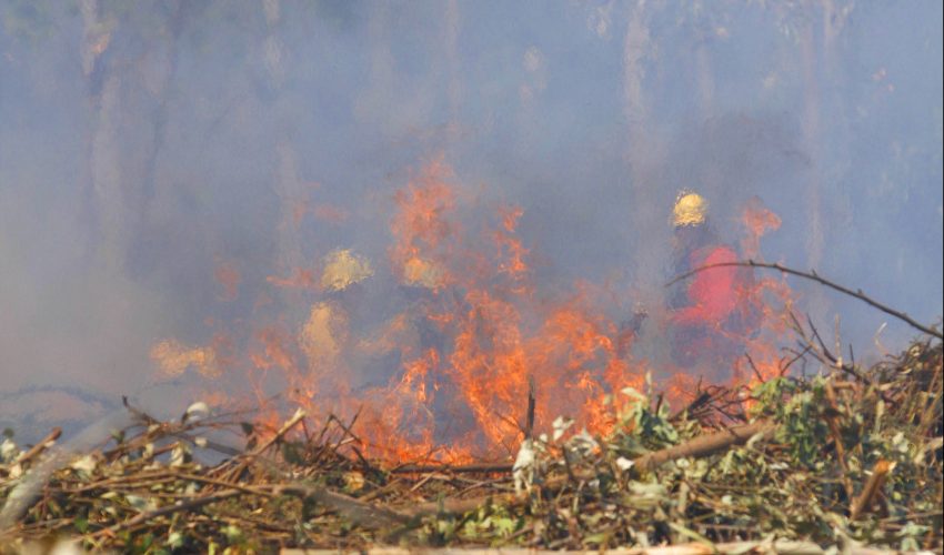 Tres comunas de Biobío siguen sin Plan de Emergencia ad portas de temporada de incendios