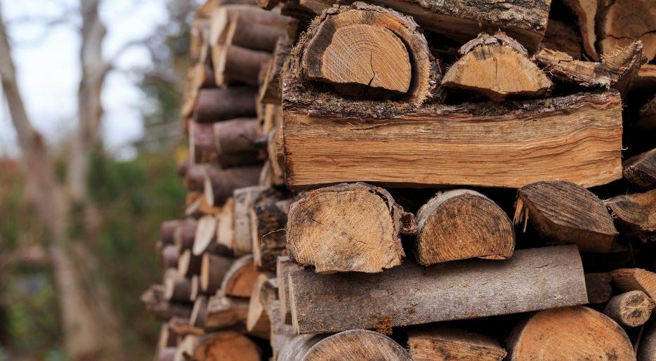Seremi de Energía da a concoer programa "Leña Más Seca", en la Región del Biobío
