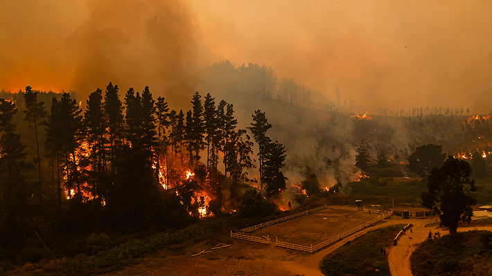 Hasta $1.500.000: Gobierno activa bono de recuperación para familias afectadas por incendios