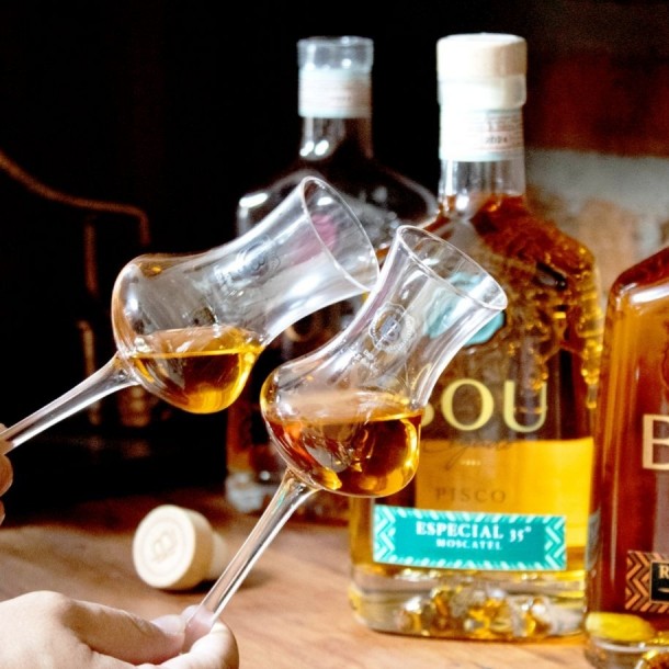 Pisco chileno volvió a brillar en el extranjero: Fue elegido por segunda vez consecutiva como mejor del año