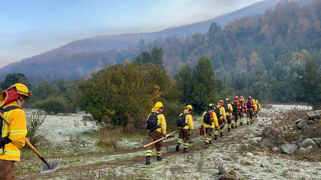 Compleja situación en Biobío: incendios forestales consumen más de 800 hectáreas en Antuco y Santa Bárbara