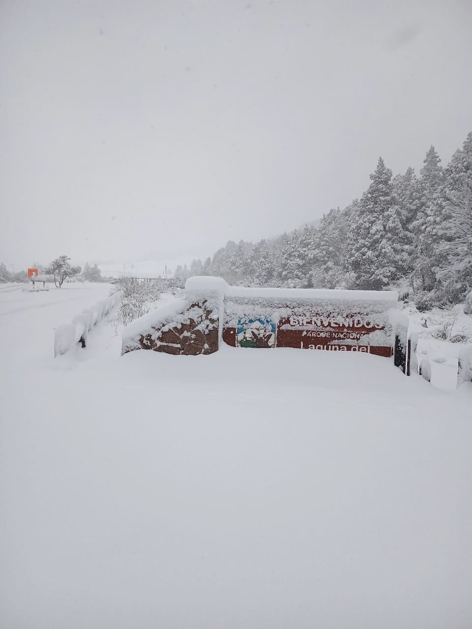 Acceso al Parque Nacional Laguna del Laja estará habilitado este domingo