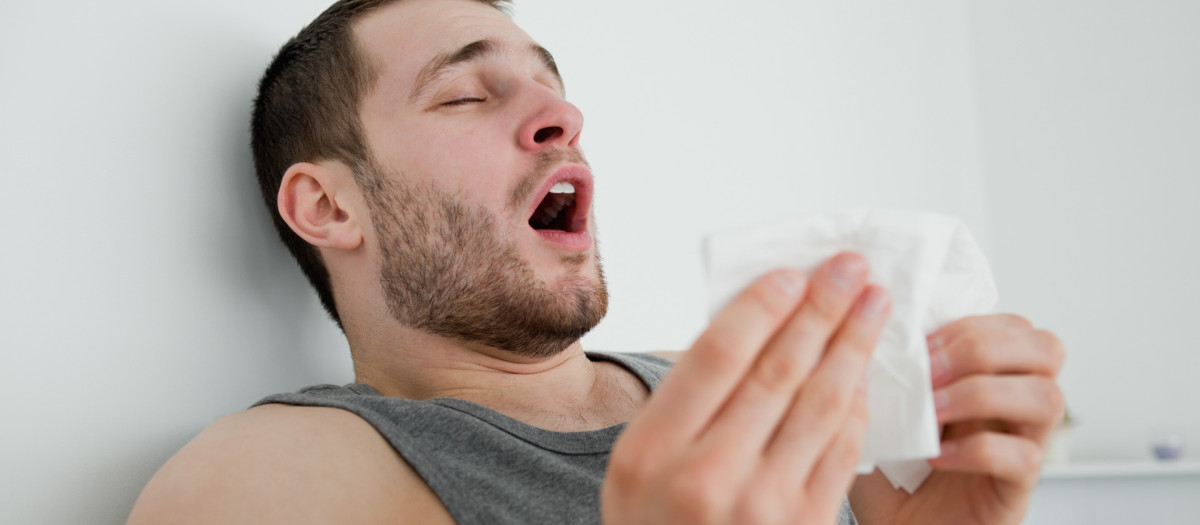 Dilema primaveral: ¿Alergia o resfrío?