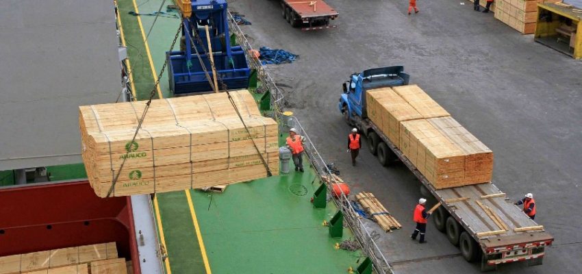 Exportaciones forestales del Biobío aumentaron 7,8% en agosto de 2026 y contemplaron 61,3% de las exportaciones regionales
