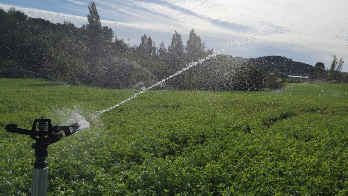 Gobierno ingresó proyecto para reutilizar "aguas grises" en riego de cultivos