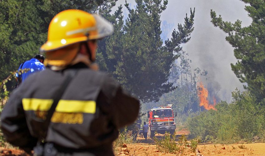 Ley de Incendios no alcanzará a regir este verano: apuntan a entrampada tramitación en Comisión Mixta