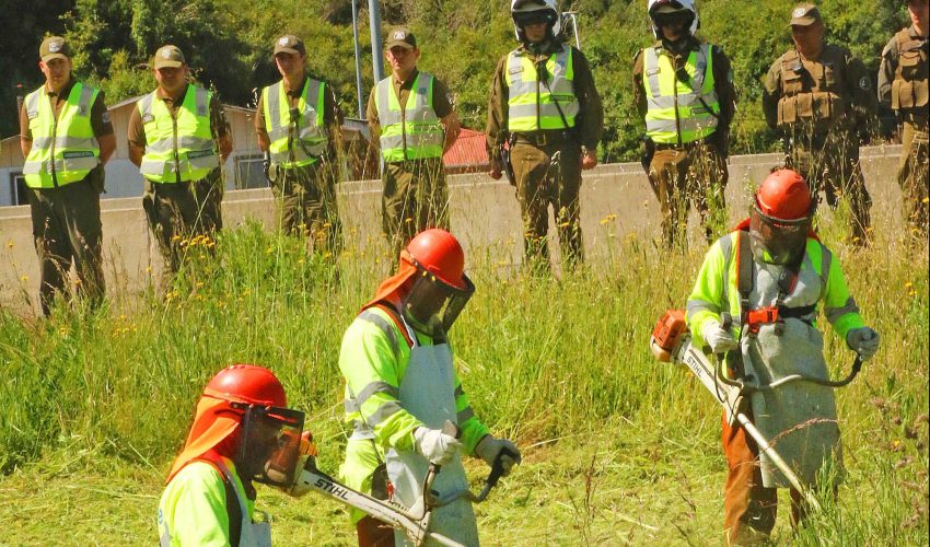 Biobío: Conaf construirá 670 kilómetros de cortafuegos para evitar incendios