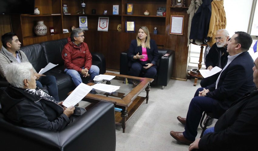 “Ley Anita”: promueven norma para resguardar a personas mayores y endurecer el control del transporte público