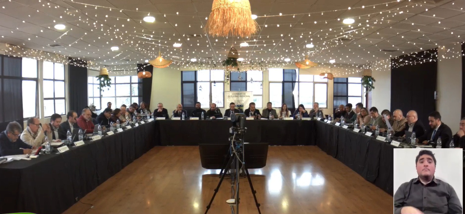 GORE Biobío asegura financiamiento para las próximas tres versiones del Festival REC 